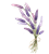kisspng-lavender-drawing-lavender-5a6b52
